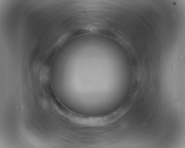 X0000083070036200702021306