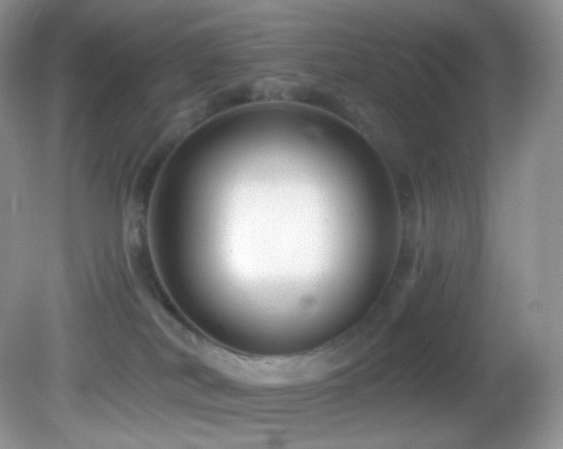 X0000083070038200702021306