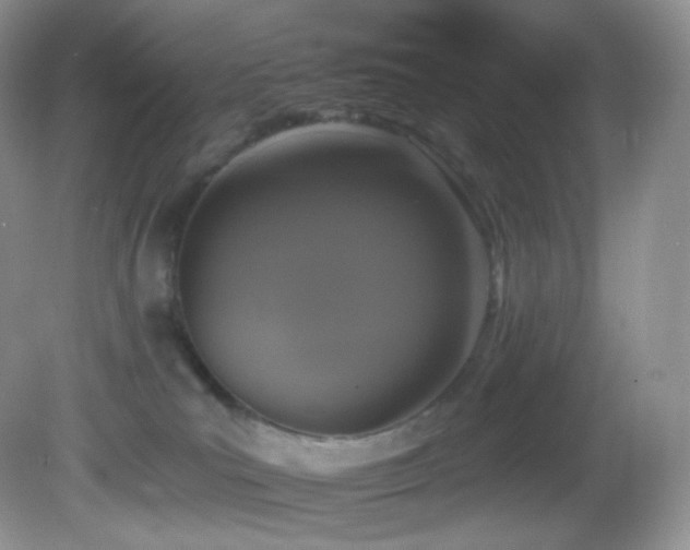 X0000083070039200702021306