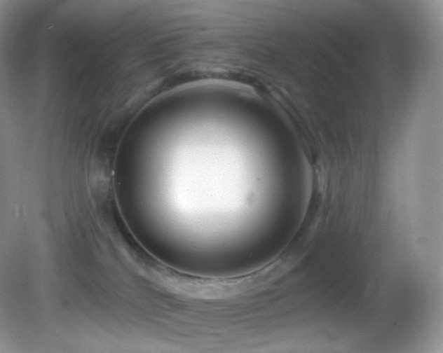 X0000083070040200702021306