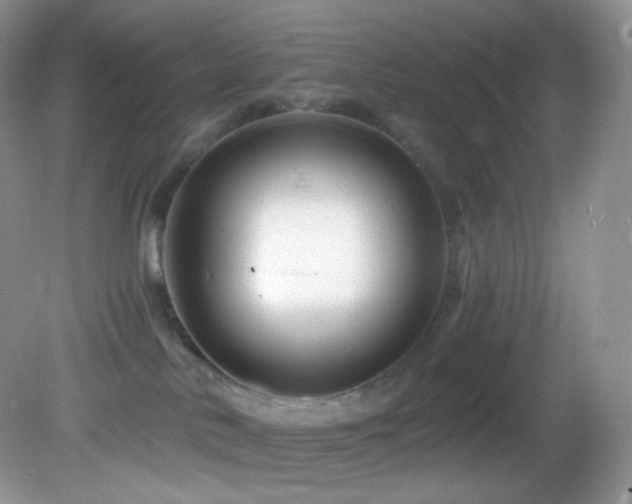 X0000083070042200702021306