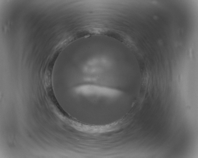 X0000083070043200702021306