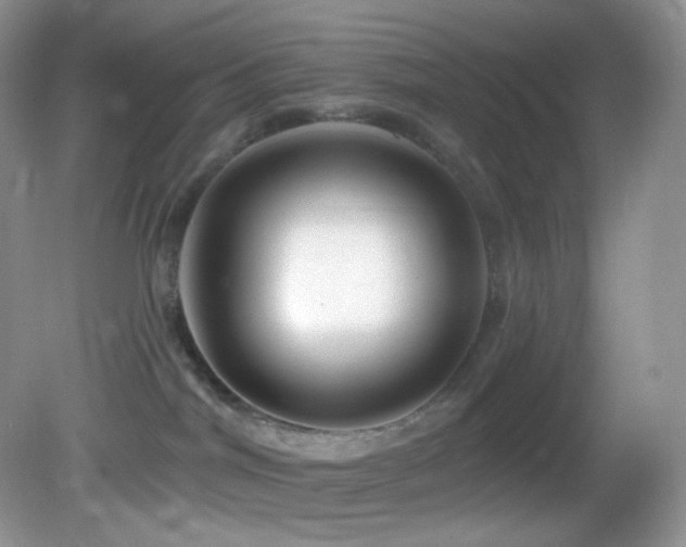X0000083070044200702021306