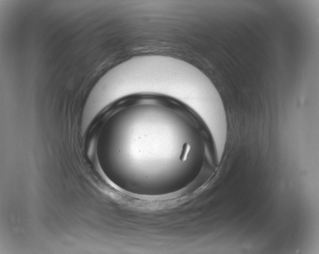 X0000083070045200702021306
