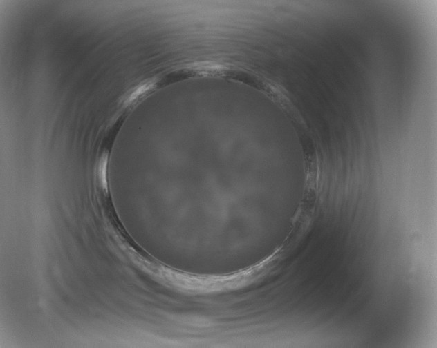 X0000083070047200702021306