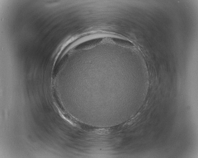 X0000083070050200702021305