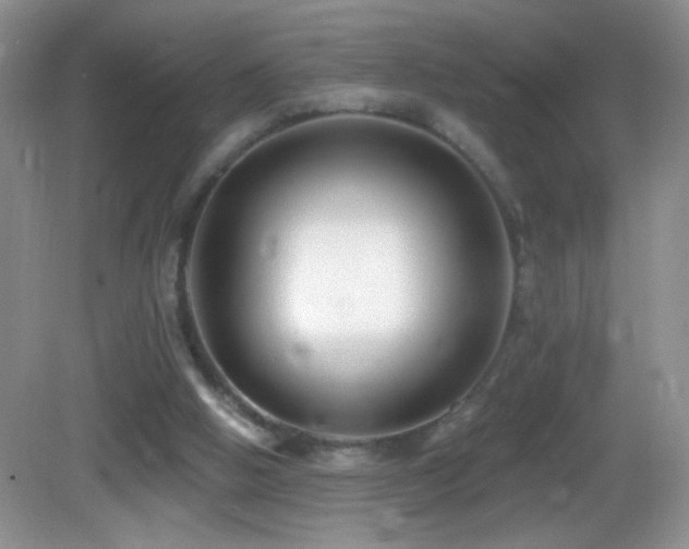 X0000083070058200702021305