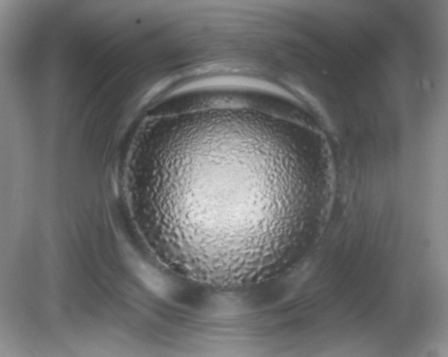 X0000083070062200702021305