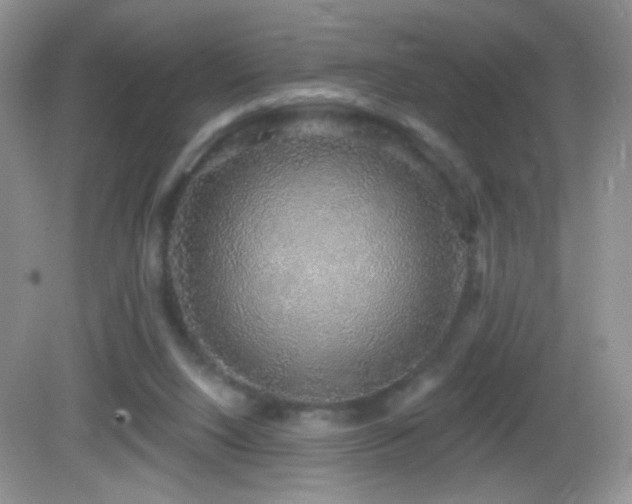 X0000083070064200702021305