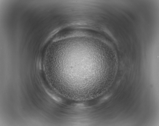 X0000083070068200702021306