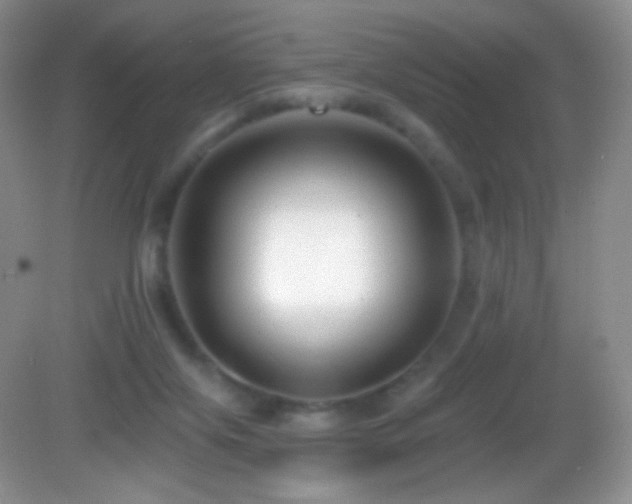 X0000083070071200702021306