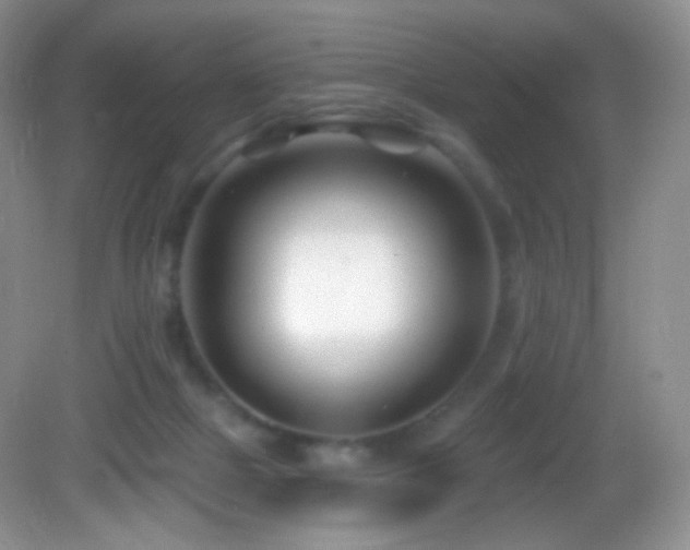 X0000083070073200702021306