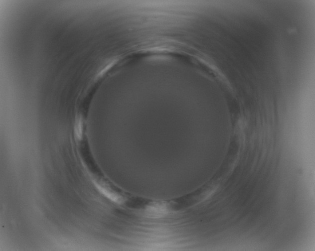 X0000083070076200702021306