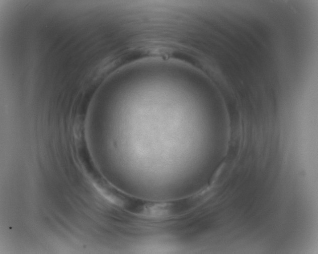 X0000083070078200702021306