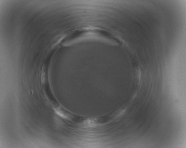 X0000083070080200702021306