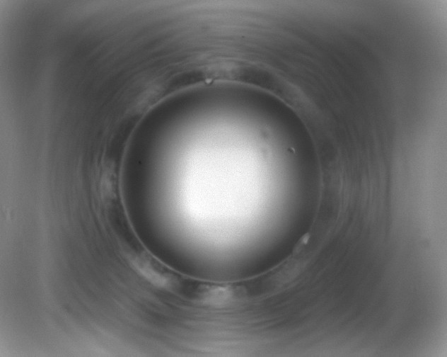 X0000083070083200702021306