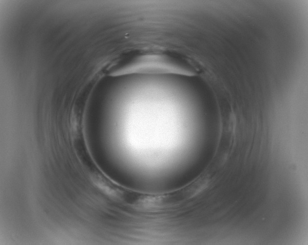 X0000083070084200702021306