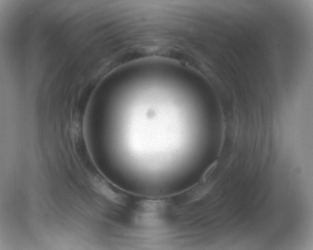 X0000083070085200702021306
