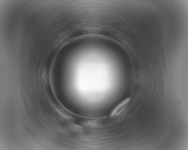 X0000083070086200702021306