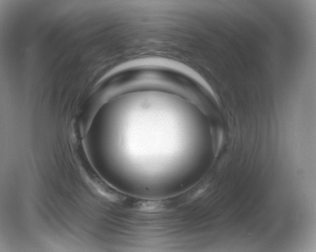 X0000083070088200702021306