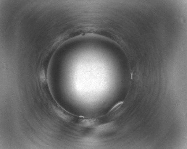X0000083070089200702021306