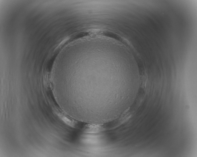 X0000083070093200702021306