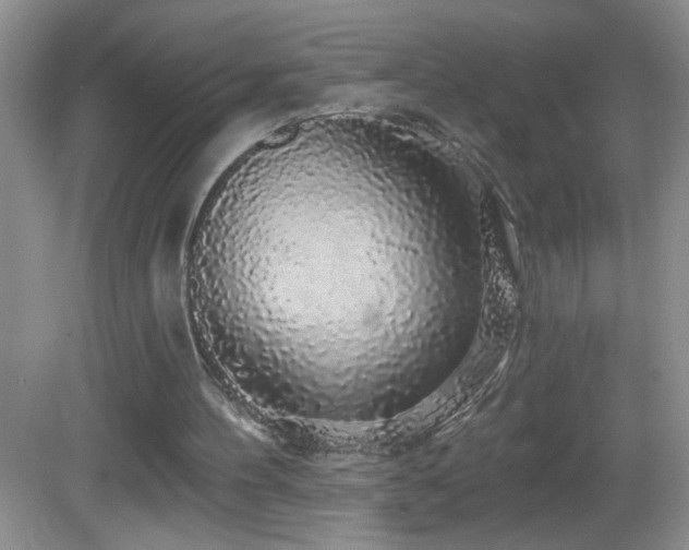 X0000083070100200702021305