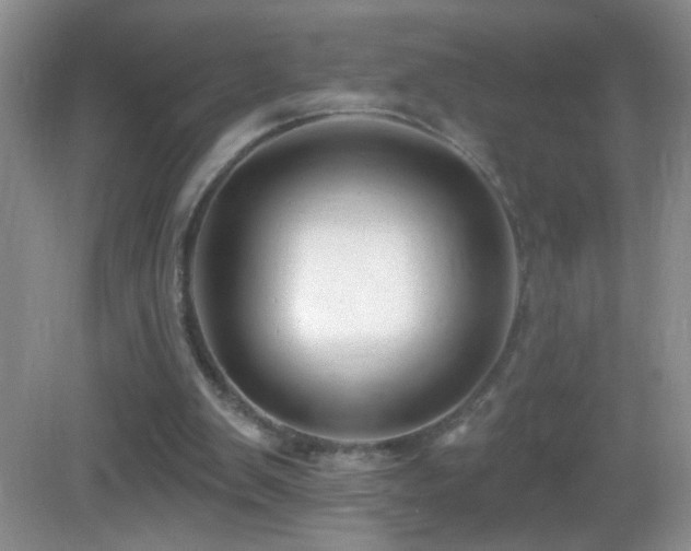 X0000083070103200702021305