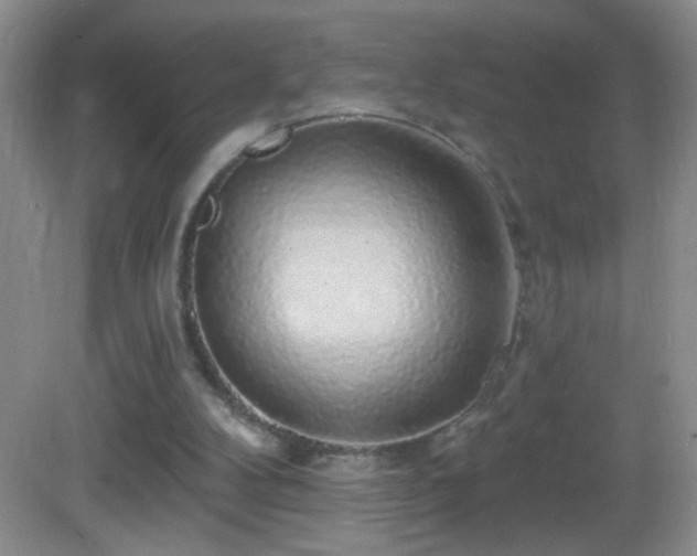 X0000083070104200702021305