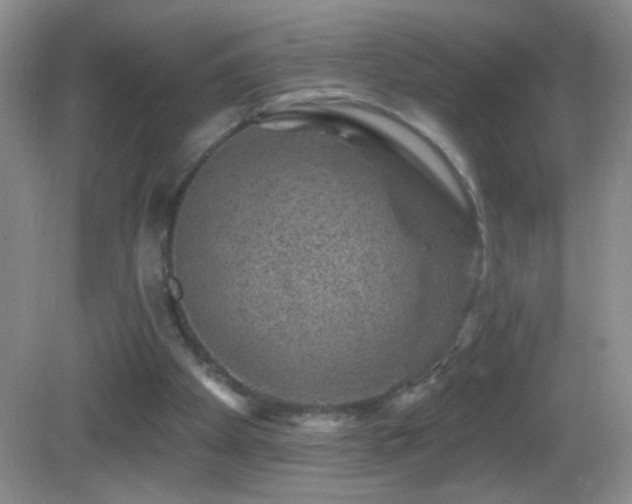 X0000083070105200702021305