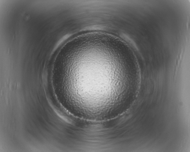 X0000083070108200702021305
