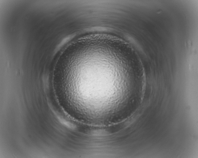 X0000083070112200702021305