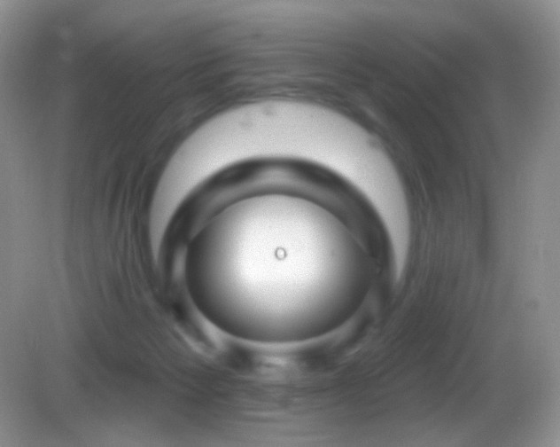 X0000083070125200702021305