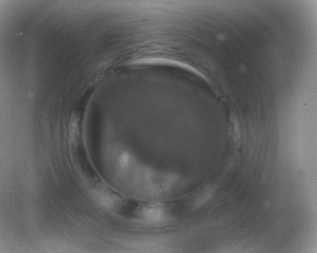 X0000083070127200702021305