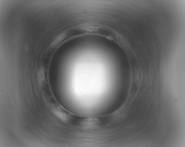 X0000083070128200702021305