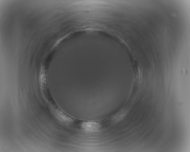 X0000083070137200702021304