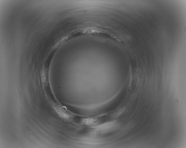 X0000083070139200702021304