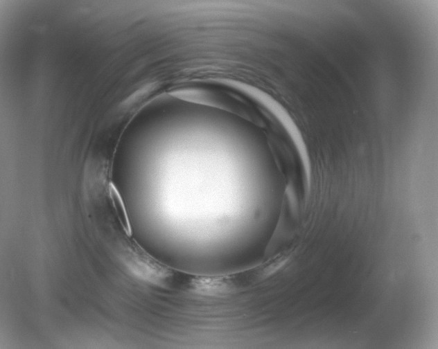 X0000083070141200702021304