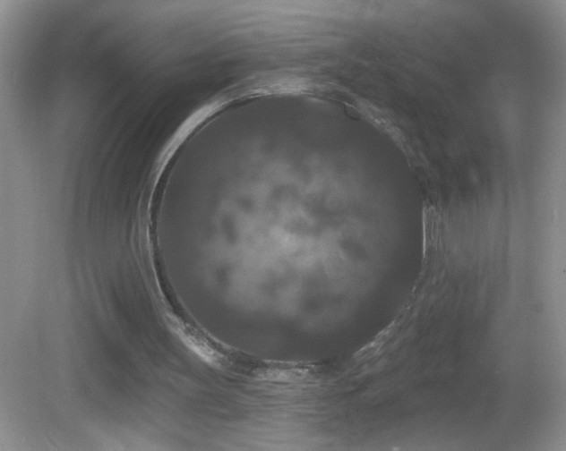 X0000083070147200702021304