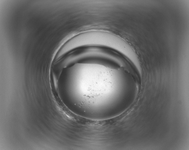 X0000083070148200702021304