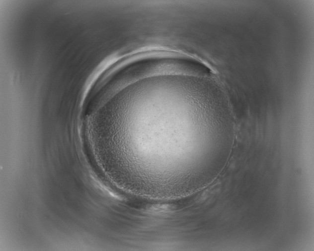 X0000083070152200702021304