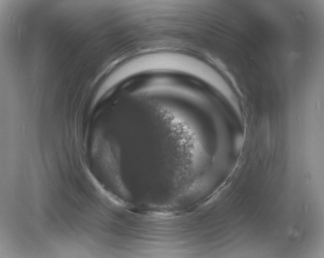 X0000083070154200702021304