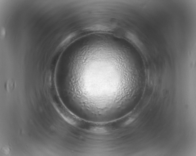 X0000083070157200702021304