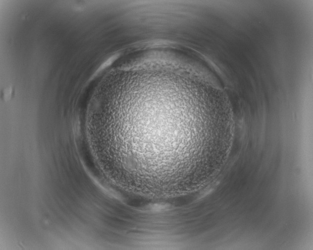 X0000083070158200702021304