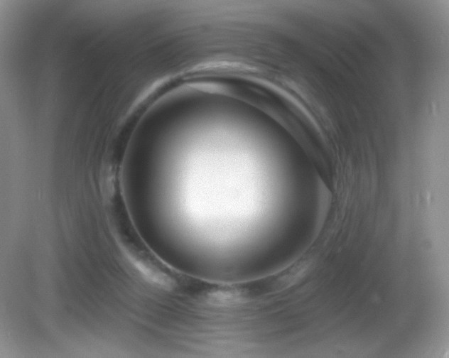X0000083070160200702021304