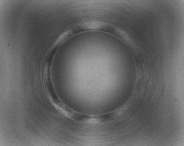 X0000083070163200702021304