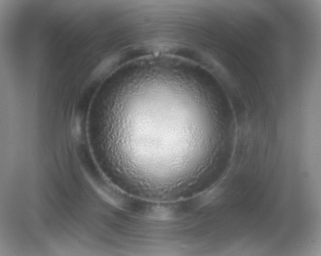 X0000083070166200702021304