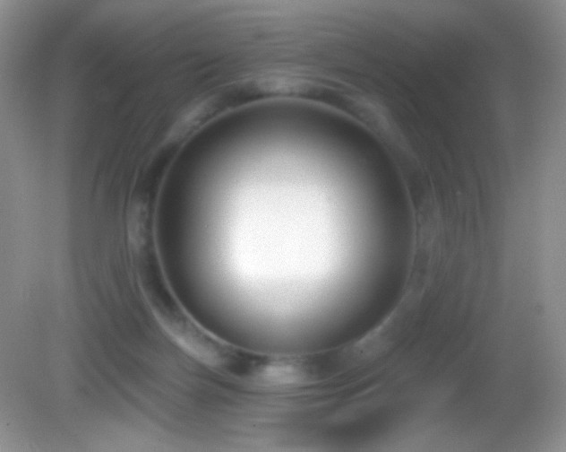 X0000083070171200702021304