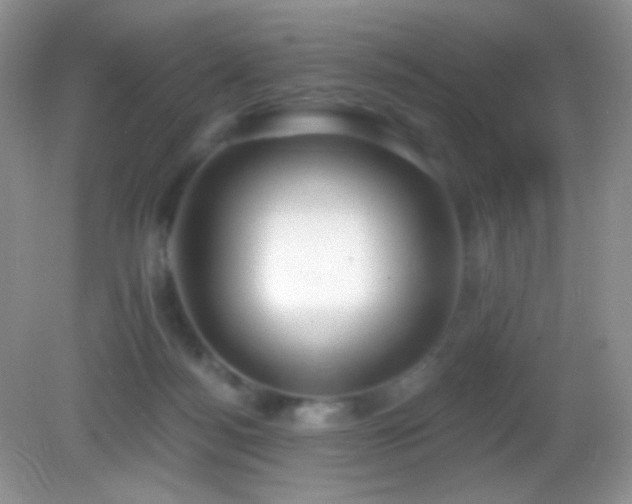 X0000083070172200702021304