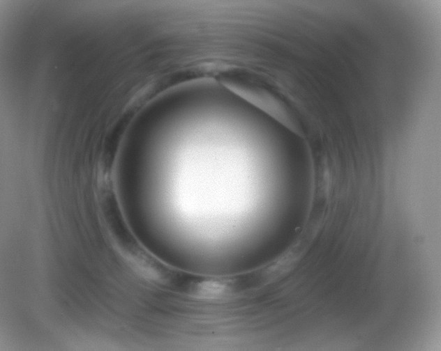 X0000083070176200702021304